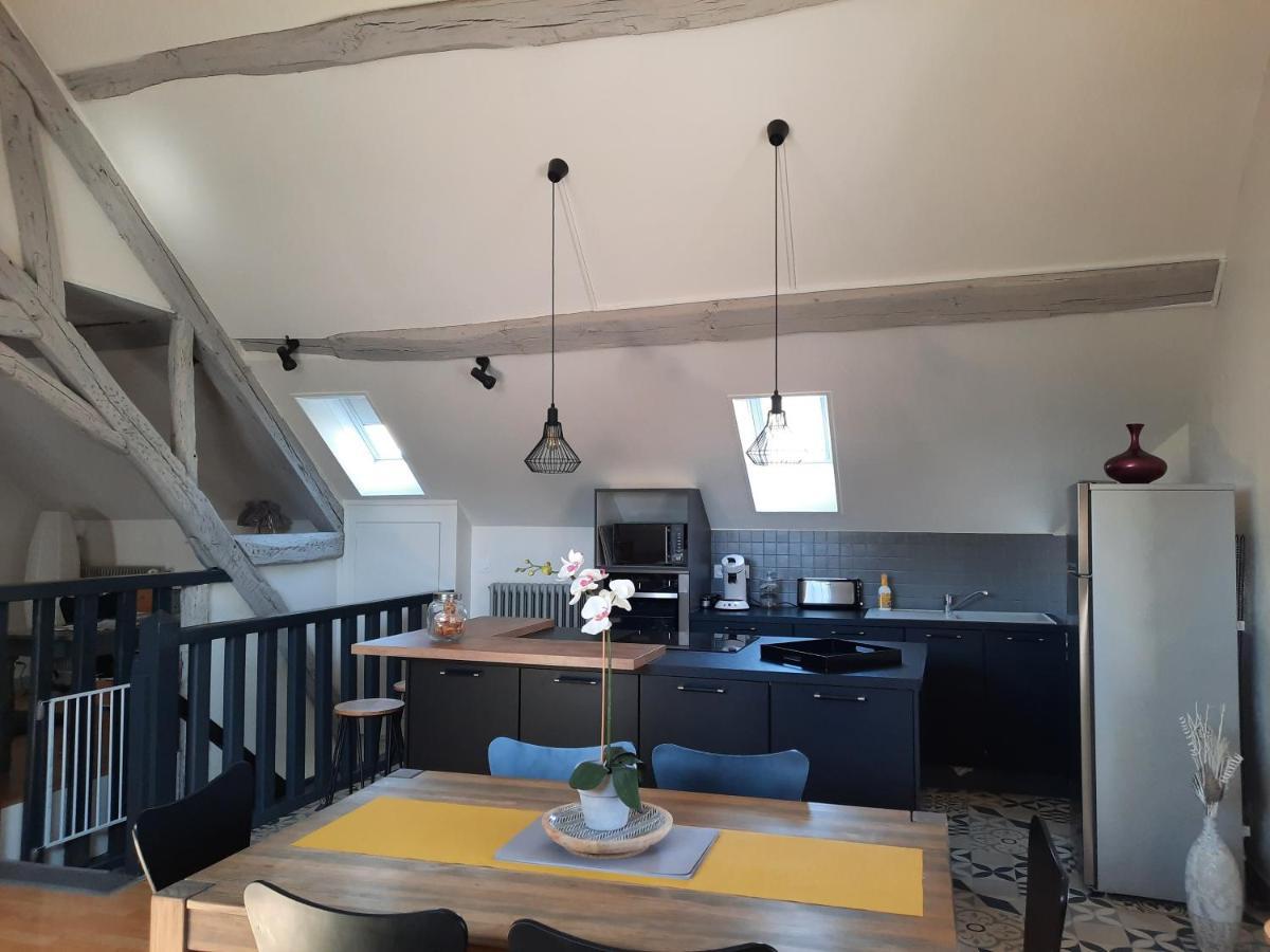 Grand Appartement Tout Confort Proche De Chambord Saint-Claude-de-Diray エクステリア 写真