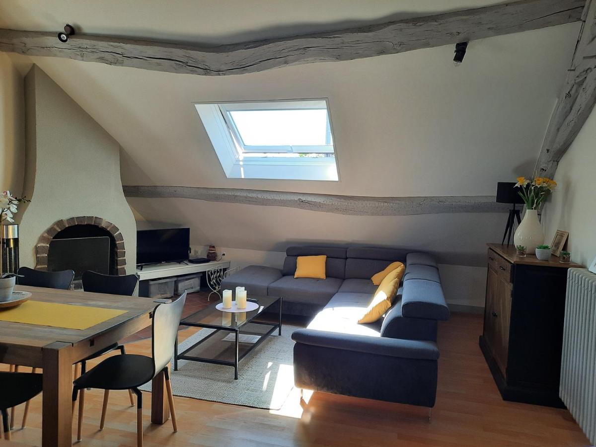 Grand Appartement Tout Confort Proche De Chambord Saint-Claude-de-Diray エクステリア 写真