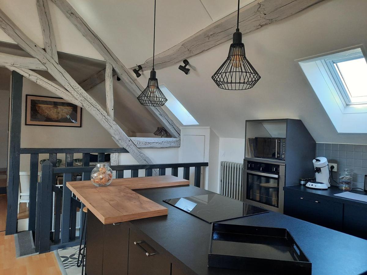 Grand Appartement Tout Confort Proche De Chambord Saint-Claude-de-Diray エクステリア 写真