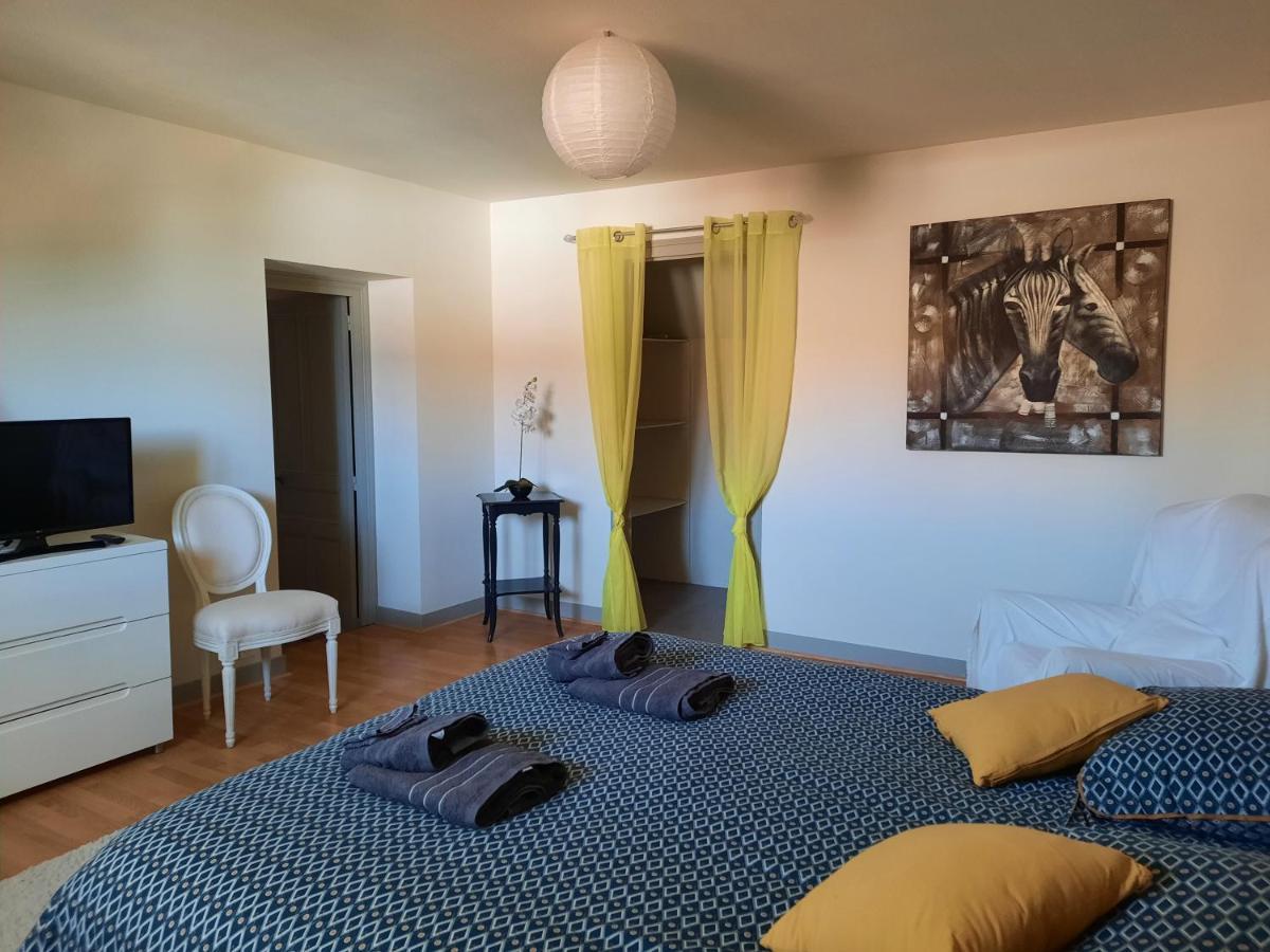 Grand Appartement Tout Confort Proche De Chambord Saint-Claude-de-Diray エクステリア 写真