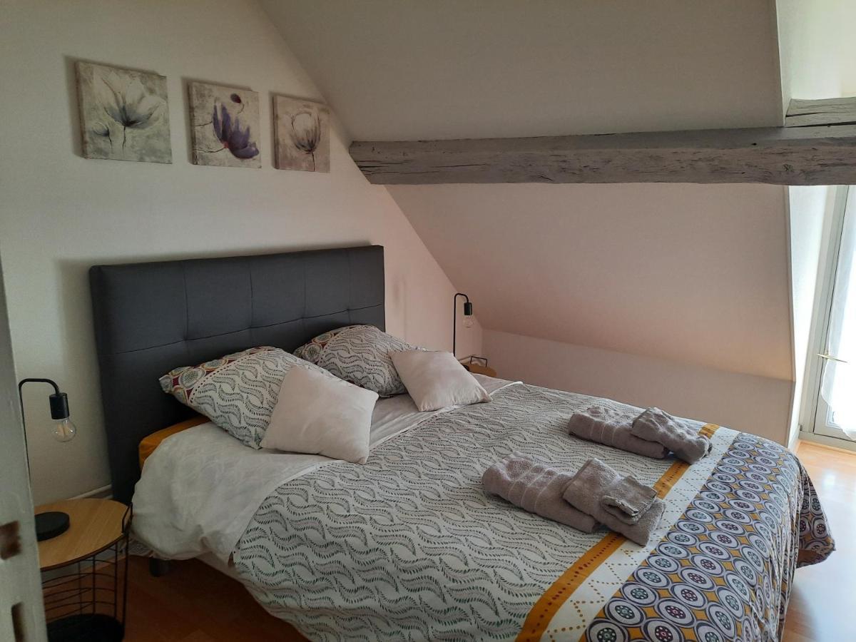 Grand Appartement Tout Confort Proche De Chambord Saint-Claude-de-Diray エクステリア 写真